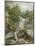 The Falls of the Isar-Johann Georg von Dillis-Mounted Giclee Print