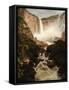 The Falls of the Tequendama Near Bogota, New Granada, 1854-Frederic Edwin Church-Framed Stretched Canvas