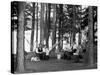 The Family Has Picnic Among the Pines, Ca. 1900-null-Stretched Canvas