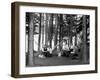 The Family Has Picnic Among the Pines, Ca. 1900-null-Framed Photographic Print