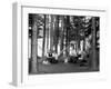 The Family Has Picnic Among the Pines, Ca. 1900-null-Framed Photographic Print