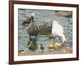 The Family-Luis Aguirre-Framed Giclee Print