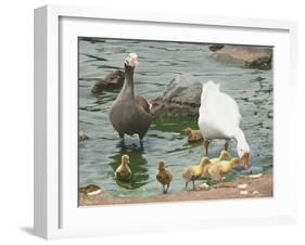 The Family-Luis Aguirre-Framed Giclee Print