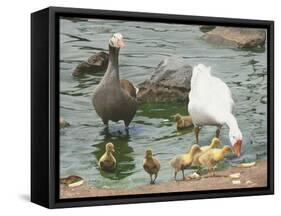 The Family-Luis Aguirre-Framed Stretched Canvas