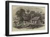 The Famine in India, a Bengal Village-null-Framed Giclee Print