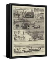 The Famine in India, Paddy Cultivation in Travancore-null-Framed Stretched Canvas