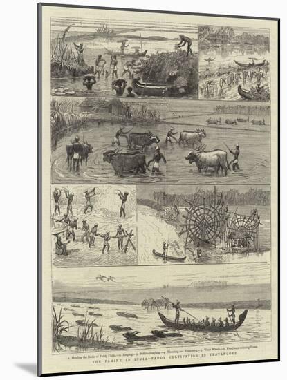 The Famine in India, Paddy Cultivation in Travancore-null-Mounted Giclee Print