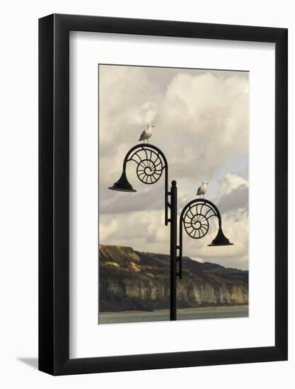 The Famous Ammonite Design Streetlghts in Lyme Regis, Dorset, England, United Kingdom, Europe-John Woodworth-Framed Photographic Print