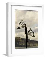 The Famous Ammonite Design Streetlghts in Lyme Regis, Dorset, England, United Kingdom, Europe-John Woodworth-Framed Photographic Print