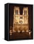 The Famous Cathedral of Notre Dame in Paris after the Rain, France-David Bank-Framed Stretched Canvas