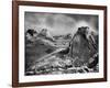 The Famous Denny Regrade of Seattle, Washington-Lantern Press-Framed Art Print