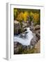 The Famous Falls in Rocky Mountain National Park, Colorado-Jason J. Hatfield-Framed Photographic Print