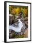 The Famous Falls in Rocky Mountain National Park, Colorado-Jason J. Hatfield-Framed Photographic Print