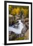 The Famous Falls in Rocky Mountain National Park, Colorado-Jason J. Hatfield-Framed Photographic Print