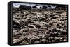 The Famous Giant's Causeway of Northern Ireland-Bartkowski-Framed Stretched Canvas