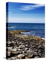 The Famous Giant's Causeway of Northern Ireland-Bartkowski-Stretched Canvas