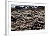 The Famous Giant's Causeway of Northern Ireland-Bartkowski-Framed Photographic Print