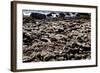 The Famous Giant's Causeway of Northern Ireland-Bartkowski-Framed Photographic Print