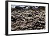 The Famous Giant's Causeway of Northern Ireland-Bartkowski-Framed Photographic Print