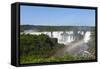 The Famous Iguazu Falls on the Border of Brazil and Argentina-luiz rocha-Framed Stretched Canvas
