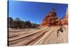 The Famous Jumping Tree Jerky Tree. Picturesque Striped Hills from Sandstone and Low Pines-kavram-Stretched Canvas