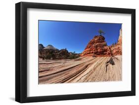 The Famous Jumping Tree Jerky Tree. Picturesque Striped Hills from Sandstone and Low Pines-kavram-Framed Photographic Print