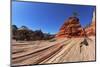 The Famous Jumping Tree Jerky Tree. Picturesque Striped Hills from Sandstone and Low Pines-kavram-Mounted Photographic Print