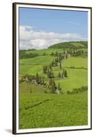 The Famous Road near Monticchiello-Guido Cozzi-Framed Premium Photographic Print