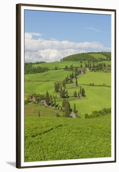 The Famous Road near Monticchiello-Guido Cozzi-Framed Premium Photographic Print