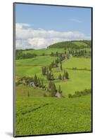 The Famous Road near Monticchiello-Guido Cozzi-Mounted Photographic Print