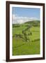 The Famous Road near Monticchiello-Guido Cozzi-Framed Photographic Print