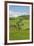 The Famous Road near Monticchiello-Guido Cozzi-Framed Photographic Print