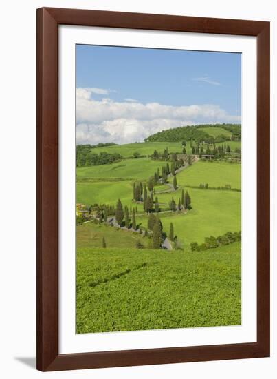 The Famous Road near Monticchiello-Guido Cozzi-Framed Photographic Print