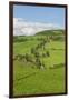 The Famous Road near Monticchiello-Guido Cozzi-Framed Photographic Print