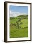 The Famous Road near Monticchiello-Guido Cozzi-Framed Photographic Print