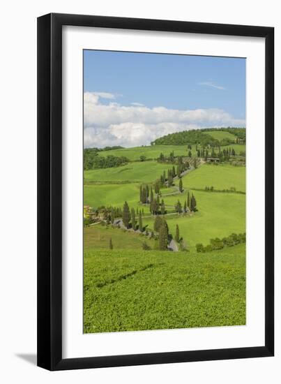 The Famous Road near Monticchiello-Guido Cozzi-Framed Photographic Print