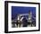 The Famous Tower Bridge over the River Thames in London-David Bank-Framed Photographic Print