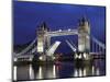 The Famous Tower Bridge over the River Thames in London-David Bank-Mounted Photographic Print