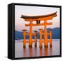 The Famous Vermillion Coloured Floating Torii Gate-Gavin Hellier-Framed Stretched Canvas