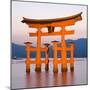 The Famous Vermillion Coloured Floating Torii Gate-Gavin Hellier-Mounted Photographic Print