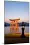 The Famous Vermillion Coloured Floating Torii Gate-Gavin Hellier-Mounted Photographic Print