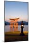 The Famous Vermillion Coloured Floating Torii Gate-Gavin Hellier-Mounted Photographic Print