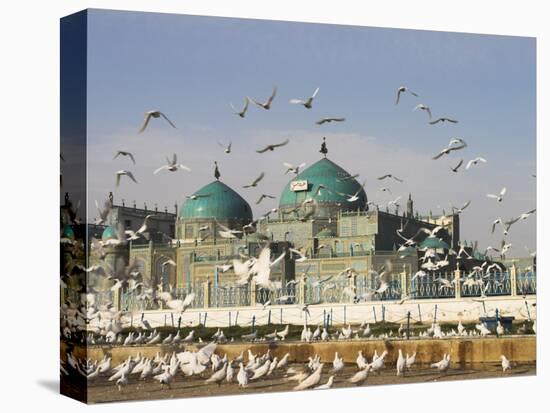 The Famous White Pigeons, Shrine of Hazrat Ali, Mazar-I-Sharif, Balkh Province, Afghanistan-Jane Sweeney-Stretched Canvas