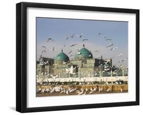 The Famous White Pigeons, Shrine of Hazrat Ali, Mazar-I-Sharif, Balkh Province, Afghanistan-Jane Sweeney-Framed Premium Photographic Print