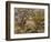 The Farm at Les Collettes, Cagnes, 1908-14-Pierre-Auguste Renoir-Framed Giclee Print