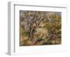 The Farm at Les Collettes, Cagnes, 1908-14-Pierre-Auguste Renoir-Framed Giclee Print