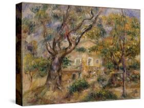 The Farm at Les Collettes, Cagnes, 1908-14-Pierre-Auguste Renoir-Stretched Canvas