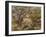 The Farm at Les Collettes, Cagnes, 1908-14-Pierre-Auguste Renoir-Framed Giclee Print