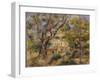 The Farm at Les Collettes, Cagnes, 1908-14-Pierre-Auguste Renoir-Framed Giclee Print