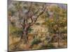 The Farm at Les Collettes, Cagnes, 1908-14-Pierre-Auguste Renoir-Mounted Giclee Print